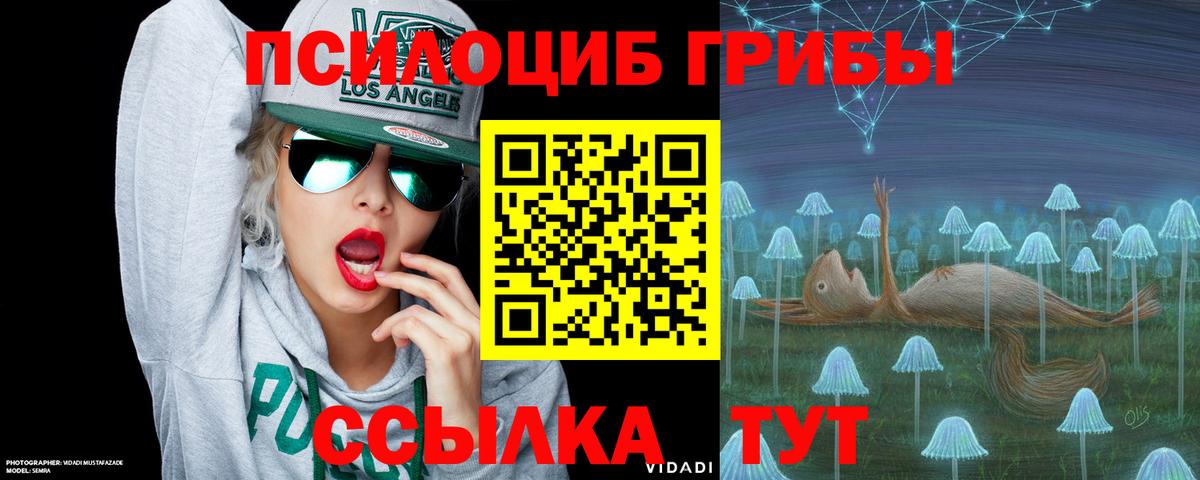 Галлюциногенные грибы GOLDEN TEACHER  наркошоп  Гусь-Хрустальный  Вход с VPN  Галлюциногенные грибы Cubensis 